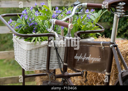 Blütenpracht in einem Korb auf einem altmodischen shop Fahrrad in Daylesford Organic Farm Sommer Festival. Daylesford, Cotswolds, Gloucestershire, VEREINIGTES KÖNIGREICH Stockfoto