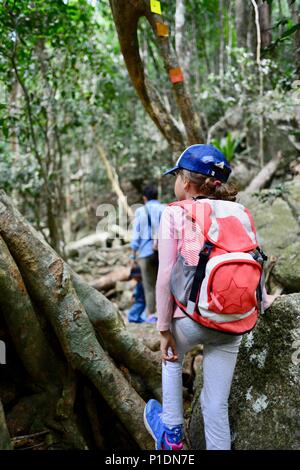 Mutter und Töchter Spaziergang durch einen Felsvorsprung in einem Wald, Paluma Range National Park, Rollingstone QLD, Australia Stockfoto