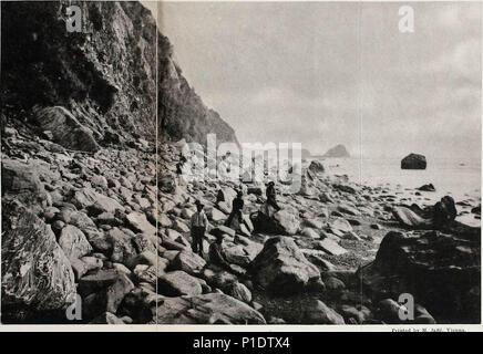 "Geologie der Provinzen Canterbury und Westland, Neuseeland, einen Bericht erstellt, der die Ergebnisse der amtlichen Erkundungen' (1879) Stockfoto