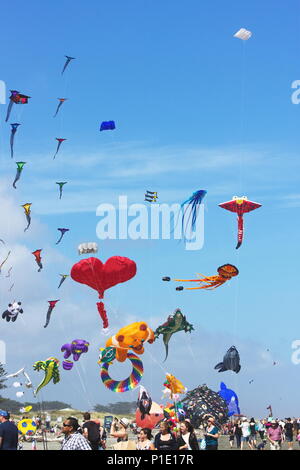 Otaki, Neuseeland - 5. März, 2016: Personen, die die jährliche Otaki Kite Festival im Sommer auf der schönen Kapiti Küste von Neuseeland statt. Stockfoto