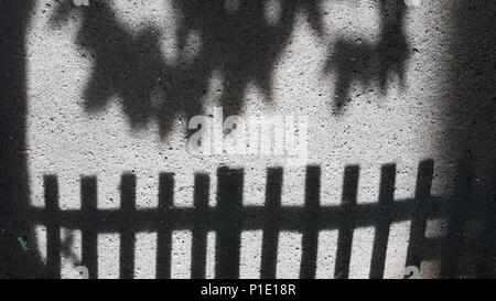 Zusammenfassung Hintergrund eines schwarzen Schatten von einem Zaun von unten und ein Schatten von Laub von oben auf grauem Asphalt. Stockfoto