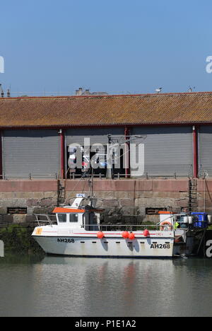 Fischerboot im Hafen von Arbroath Schottland Juni 2018 Stockfoto