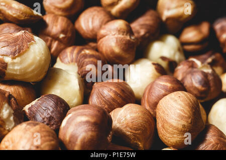 Eine Menge groß große reife Haselnüsse Stockfoto