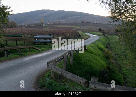 Auvergne-Rh ône-Alpes, Frankreich. Country Road Stockfoto