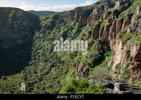 Man schaut in die Caldera de Bandama, Gran Canaria, Kanarische Inseln, Spanien Stockfoto