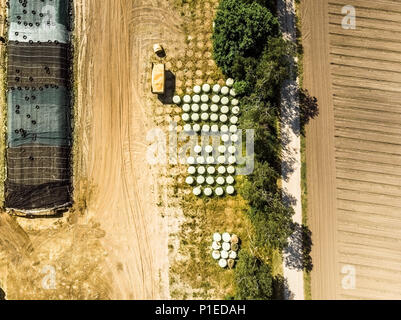 Luftaufnahme von einer Farm Lager, vertikal fotografiert runde Silageballen in Folie gewickelt, mit Drone gemacht Stockfoto