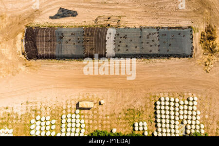 Luftaufnahme von einer Farm Lager, vertikal fotografiert runde Silageballen in Folie gewickelt, mit Drone gemacht Stockfoto