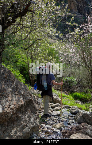 Wanderer im Naturpark Monumento Natural del Roque Nublo im Frühjahr, Gran Canaria, Kanarische Inseln, Spanien Stockfoto