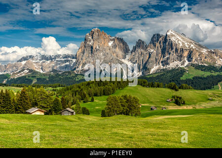 Seiser Alm - Seiser Alm, Sella und Langkofel - Langkofel mountain Group, Trentino Alto Adige - Südtirol, Italien Stockfoto