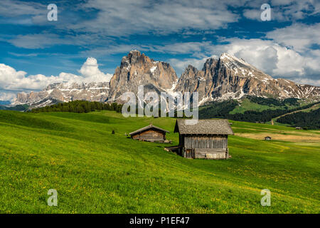 Seiser Alm - Seiser Alm, Sella und Langkofel - Langkofel mountain Group, Trentino Alto Adige - Südtirol, Italien Stockfoto