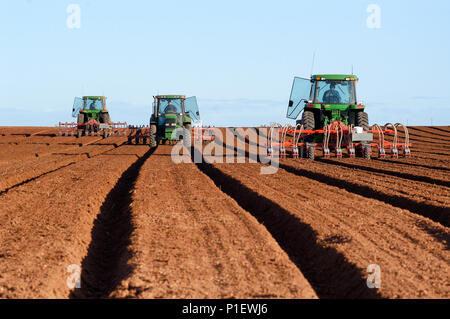 Bepflanzung Karotten Samen, felsigen Lamatinna und Söhne, Wemen, Victoria, Australien. Stockfoto