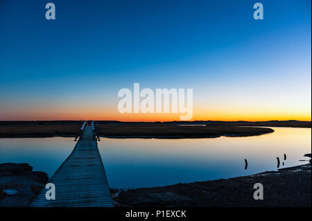 Die Promenade erstreckt sich über das Salz Teich und Sumpf zum Strand, Sandwich, Cape Cod, Massachusetts, USA. Stockfoto