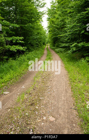 Ein Kies und Schmutz Protokollierung Straße in der Adirondack Wildnis, NY, USA Stockfoto