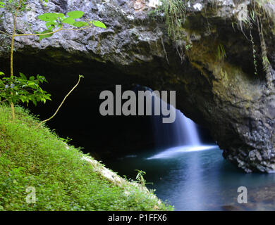 Die natürliche Brücke und Wasserfall bei Springbrook National Park in Queensland. Stockfoto