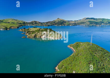 Goat Island, Quarantäne, Insel, Otago Peninsula und Otago Harbour, Port Chalmers, Dunedin, Otago, Südinsel, Neuseeland - drone Antenne Stockfoto