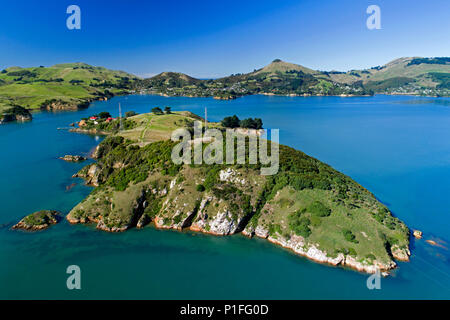 Quarantäne Insel, Portobello, Otago Peninsula und Otago Harbour, Dunedin, Otago, Südinsel, Neuseeland - drone Antenne Stockfoto