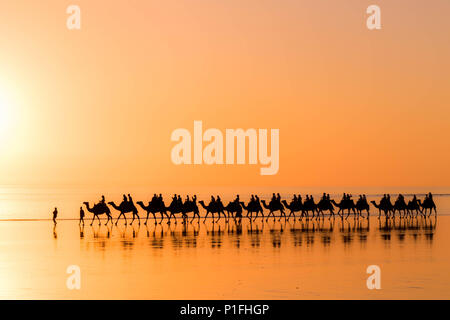 Silhouette von einem Mann und zwei Hunde beim Laufen bei Sonnenuntergang am Cable Beach in Broome, Western Australia, Mai 2018 Stockfoto