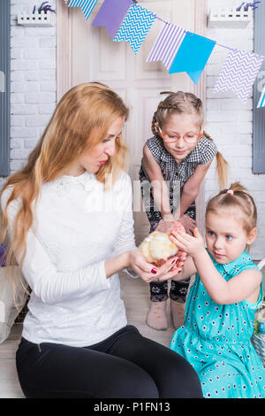 Familie bewundert die Hühner Stockfoto