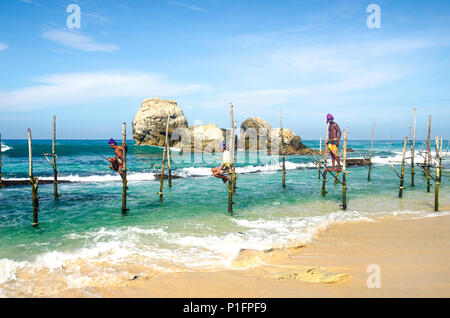 Stelze Fischer, Ahangama, Sri Lanka Stockfoto