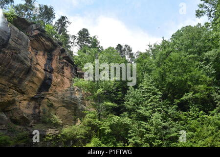 Rock im Wald Stockfoto