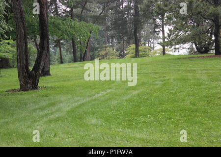 Saftig grüne Hügellandschaft auf der Wiese. Stockfoto