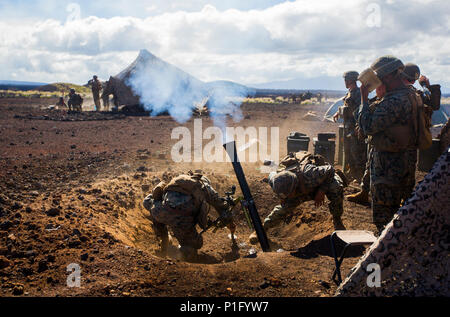 Us-Marines zugewiesen81 Platoon, Waffen, 1 Bataillon 3. Marine Regiment Feuer ein 81 mm Mörser, Teil von Lava Viper 17.1 im Bereich 13 an Bord des Pohakuloa Training Area, auf der grossen Insel von Hawaii, Okt. 22, 2016. Lava Viper ist eine jährliche kombinierte Waffen Training, dass Elemente wie Infanterie und Logistik integriert, mit indirekter Feuer von Artillerie sowie Unterstützung aus der Luft aus der Luft Element. (U.S. Marine Corps Foto von Cpl. Ricky S. Gomez) Stockfoto