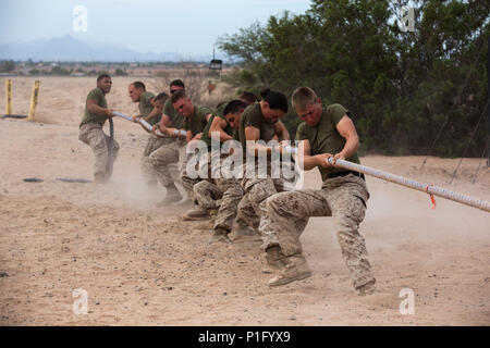 Us-Marines mit 8. Techniker Bataillon in einem Tauziehen teilnehmen - als Teil einer Gruppe, die Konkurrenz an der Kanone Flugabwehr Komplex, Yuma, Ariz., Okt. 24, 2016. Mannschaft Wettbewerbe geschehen unter jede Einheit in der Marine Corps Kameradschaft und Esprit de Corps zu errichten. (U.S. Marine Corps Foto von Lance Cpl. Christian Cachola/Freigegeben) Stockfoto