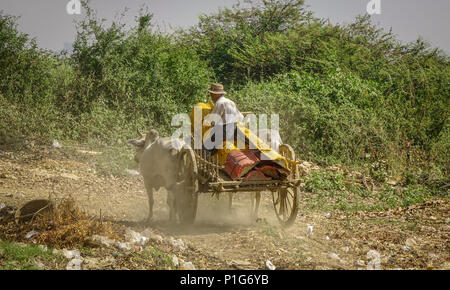 Ochsenkarren über die ländliche Straße in Mandalay, Myanmar ausgeführt wird. Stockfoto