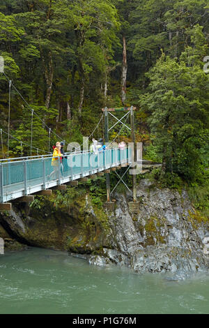 Touristen auf Fußgängerbrücke über Blue River, Blue Pools, Mount Aspiring National Park, den Haast Pass, in der Nähe der Makarora, Otago, Südinsel, Neuseeland Stockfoto