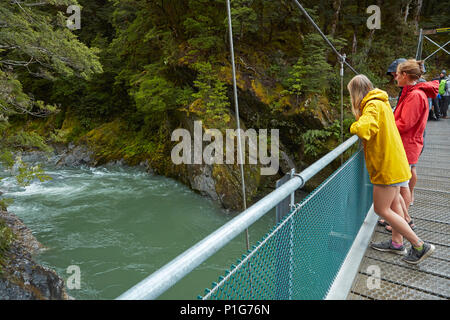 Touristen auf Fußgängerbrücke über Blue River, Blue Pools, Mount Aspiring National Park, den Haast Pass, in der Nähe der Makarora, Otago, Südinsel, Neuseeland Stockfoto