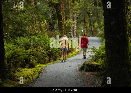 Anschluss an den blauen Pools, Mount Aspiring National Park, den Haast Pass, in der Nähe der Makarora, Otago, Südinsel, Neuseeland (Model Released) Stockfoto