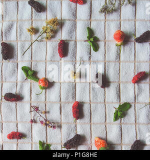 Blick von oben auf die Mulberry Obst und Erdbeeren, frische Beeren Obst und Minze auf weißem Stoff. Stockfoto