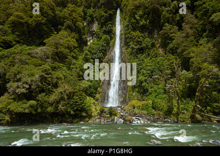 Thunder Creek Falls & Haast River, den Haast Pass, Mt Aspiring National Park, West Coast, South Island, Neuseeland Stockfoto