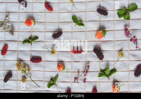 Blick von oben auf die Mulberry Obst und Erdbeeren, frische Beeren Obst und Minze auf weißem Stoff. Stockfoto