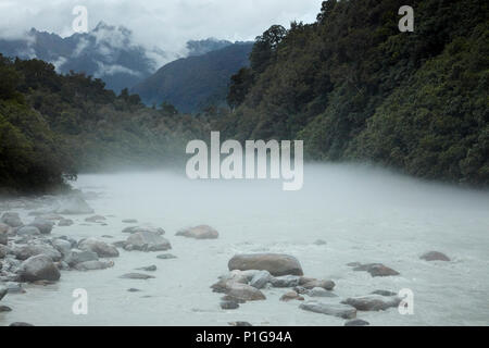 Nebel über Kochen, Fluss, in der Nähe der Fox Glacier, West Coast, South Island, Neuseeland Stockfoto