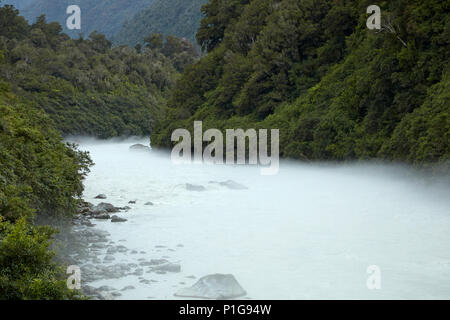 Nebel über Kochen, Fluss, in der Nähe der Fox Glacier, West Coast, South Island, Neuseeland Stockfoto