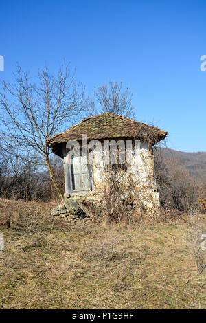 19. Jahrhundert altes Haus in den Wald aus Ton Fliesen, Ziegel und Schlamm. Letzte Besitzer starb im Jahr 1953. In der Mitte des Waldes, ohne Eigentümer. Stockfoto