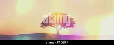 3D-Render von einem Sonnenuntergang Baum Landschaft im Breitbildformat mit retro Effekt Stockfoto