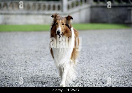 Original Filmtitel: LASSIE. Englischer Titel: LASSIE. Regisseur: CHARLES STURRIDGE. Jahr: 2005. Credit: ELEMENT FILME/Album Stockfoto