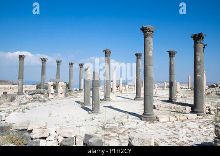 Spalten in Umm Qais (Gadara). Jordan. Stockfoto