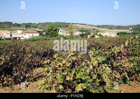 Spanien - Katalonien - Alt Camp (Bezirk) - TARRAGONA. Aiguamúrcia; vinyes i Poble/Viñedos y Pueblo. Stockfoto