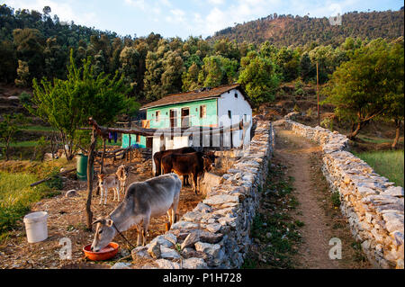 Haus in der Nähe des Wald Straße an Kala Agar Dorf, Kumaon Hügel, Uttarakhand, Indien Stockfoto