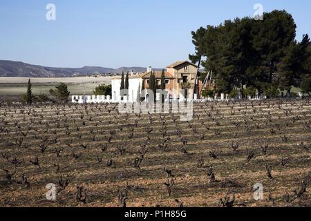 Spanien - Valencia autonome Region - La Costera (Kreis) - Valencia. Fontanars dels Alforins; Bodega viñedos/Camino eine Moixent. Stockfoto