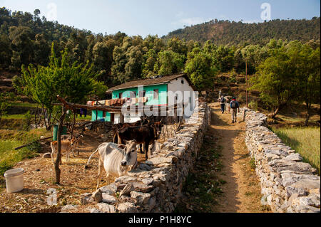 Haus in der Nähe des Wald Straße an Kala Agar Dorf, Kumaon Hügel, Uttarakhand, Indien Stockfoto