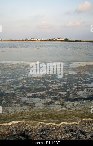 Spanien - Valencia autonome Region - Baix Vinalopó (Kreis) - Alicante. Santa Pola; Salinas/Parque Natural. Stockfoto