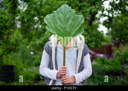 Frau mit großen grünen Rhabarber Blatt stehen im Garten. Sie versteckt sich ihr Gesicht. Gesunde Ernährung Element. Stockfoto