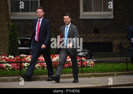Attorney General für England, Jeremy Wright (links) und Gehäuse und Gemeinschaften Sekretär, James Brokenshire, Ankunft in Downing Street, London, für eine Sitzung. Stockfoto