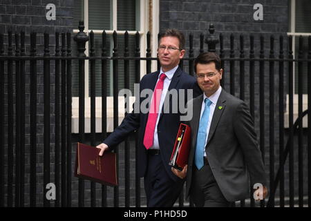 Attorney General für England, Jeremy Wright (links) und Gehäuse und Gemeinschaften Sekretär, James Brokenshire, Ankunft in Downing Street, London, für eine Sitzung. Stockfoto