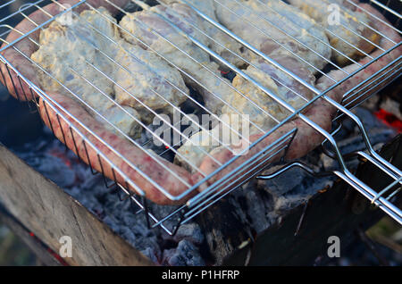 Shish Kebab von Chicken Wings sind im Bereich der Fried. Eine klassische Grill im Freien. Der Prozess der Braten Fleisch auf Holzkohle Stockfoto