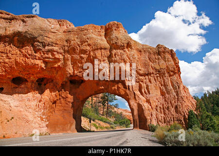 Arch in seltenen Felsformationen des Bryce Canyon National Park Stockfoto